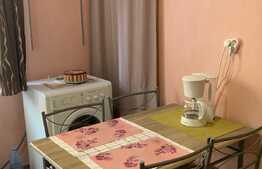 Apartament de 1 camera, zona Stejarului, 44 mp