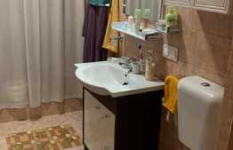 Apartament de 1 camera, zona Stejarului, 44 mp