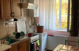 Apartament de 1 camera, zona Stejarului, 44 mp