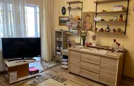 Apartament de 1 camera, zona Stejarului, 44 mp