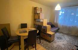 Apartament 2 camere, 43 mp, petfriendly, zona Sala Sporturilor