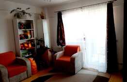 Apartament 2 camere decomandate, 53 mp, mobilat, zona Vivo