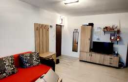 Apartament de 2 camere, 42mp, 2 balcoane, parcare privata! Zona Muzeul Apei