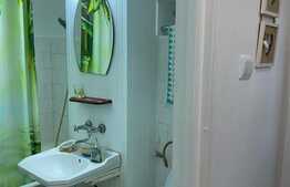 Garsoniera cocheta, parter, 32 mp! Zona Bulevardul Muncii!