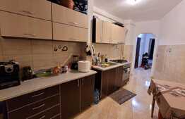 Apartament 2 camere decomandat, Manastur