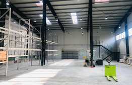 Hala moderna, in zona Tetarom 1 