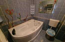 Apartament 2 camere, 49 mp, etaj intermediar! Zona strazii Teilor!