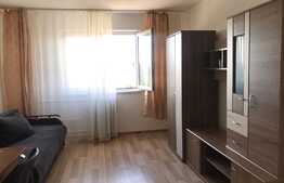 Garsoniera 22 mp, pet friendly, boxa, zona Bulevardul Muncii