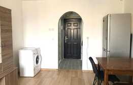 Garsoniera 22 mp, pet friendly, boxa, zona Bulevardul Muncii