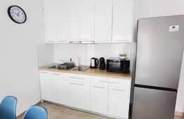 Apartament 2 camere, parcare, gradina, zona strazii Corneliu Coposu