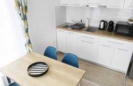 Apartament 2 camere, parcare, gradina, zona strazii Corneliu Coposu