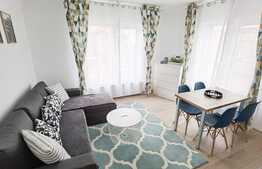 Apartament 2 camere, parcare, gradina, zona strazii Corneliu Coposu