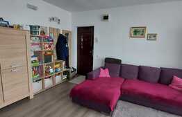Apartament cu 2 camere, la cheie, parcare! Zona Stejarului!