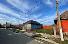 Casa individuala, renovata complet, 1000 mp teren, 100 utili, Comuna Bontida