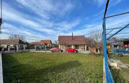 Casa individuala, renovata complet, 1000 mp teren, 100 utili, Comuna Bontida