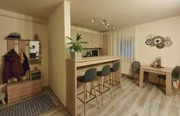 Apartament 2 camere de lux, 54 mp, etaj intermediar, parcare, zona Cetatii