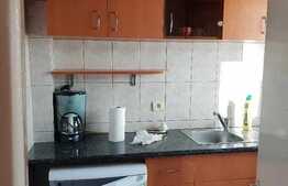 Garsoniera cocheta, 28 mp cu balcon, loc de parcare, zona P-ta Mihai Viteazul