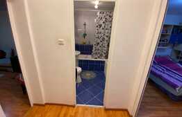 Apartament de 2 camere, decomandat, 55 mp, zona Triaj 