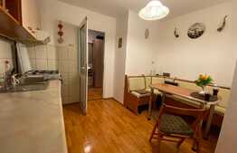 Apartament de 2 camere, decomandat, 55 mp, zona Triaj 