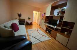 Apartament de 2 camere, decomandat, 55 mp, zona Triaj 