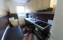 Apartament de2 camere decomandate, 58 mp, pet friendly, zona strazii Traian