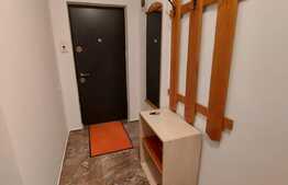 Apartament 2 camere, terasa 17 mp, la cheie, zona Somesului