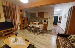 Apartament 2 camere, terasa 17 mp, la cheie, zona Somesului