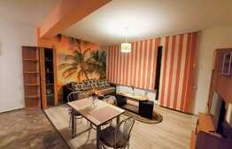 Apartament 2 camere, terasa 17 mp, la cheie, zona Somesului