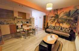 Apartament 2 camere, terasa 17 mp, la cheie, zona Somesului