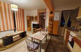Apartament 2 camere, terasa 17 mp, la cheie, zona Somesului