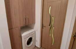 Apartament 2 camere, terasa 17 mp, la cheie, zona Somesului