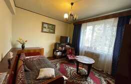 Apartament de 2 camere, decomandate, 60 mp, Pet Friendly, zona Stadion CFR