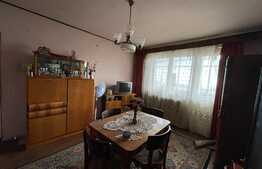 Apartament de 2 camere, decomandate, 60 mp, Pet Friendly, zona Stadion CFR