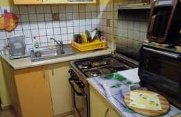 Imobil ultracentral perfect pentru spatiu comercial sau regim hotelier