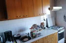 Apartament de 2 camere, 45 mp, decomandat, Manastur 