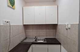 Garsoniera moderna, prima inchiriere, 28 mp, zona Expo Transilvania, Marasti