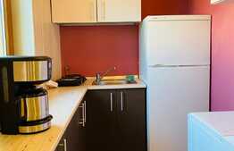 Garsoniera, 40 mp, dressing separat, pet friendly, zona strazii Alverna