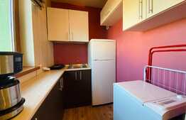 Garsoniera, 40 mp, dressing separat, pet friendly, zona strazii Alverna