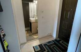  Apartament luminos, 2 camere decomandate, 42 mp, Gruia