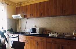 Apartament 2 camere decomandate, 50 mp, balcon, zona strazii Fantanele, Grigorescu