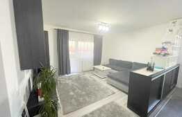 Apartament cu 3 camere, la cheie, parcare! Zona Teilor!