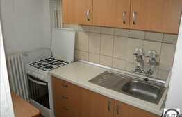 Apartament 1 camera de vanzare, 28 mp utili, zona Parang