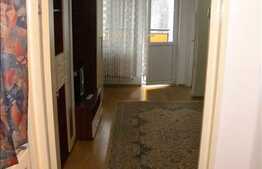 Apartament 1 camera de vanzare, 28 mp utili, zona Parang