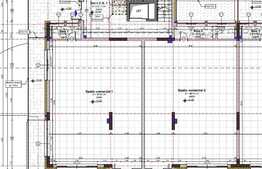 Spatiu comercial, 100 mp, vitrina la strada, zona Buna Ziua