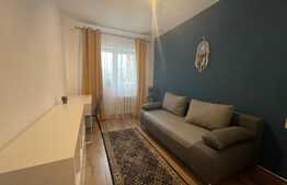 Apartament de 2 camere, 42 mp, prima inchiriere, zona strazii Mehedinti