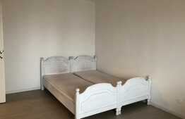 Apartament 2 camere, decomandat, 55 mp, pet friendly, zona Aurel Vlaicu