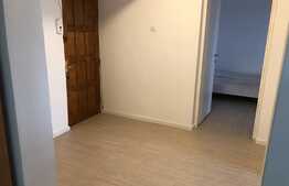 Apartament 2 camere, decomandat, 55 mp, pet friendly, zona Aurel Vlaicu