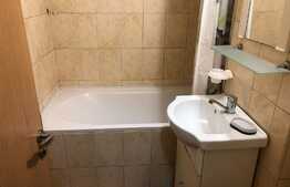 Apartament 2 camere, decomandat, 45 mp, pet friendly, zona strazii Grigore Alexandrescu