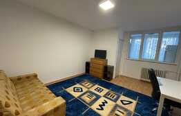 Garsoniera de 30 mp, pet friendly, zona Iulius Mall