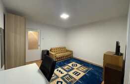 Garsoniera de 30 mp, pet friendly, zona Iulius Mall